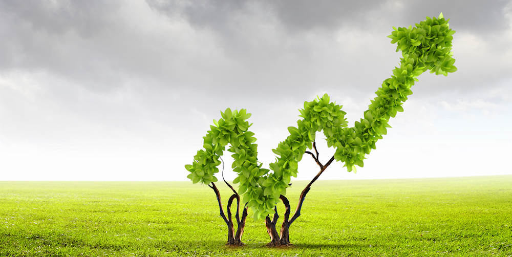 Grow Your Company To new Heights